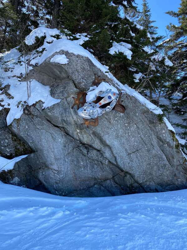 Montreal: Canadian Forest Guided Tour by Snowmobile - Safety, Equipment, and Insurance Details