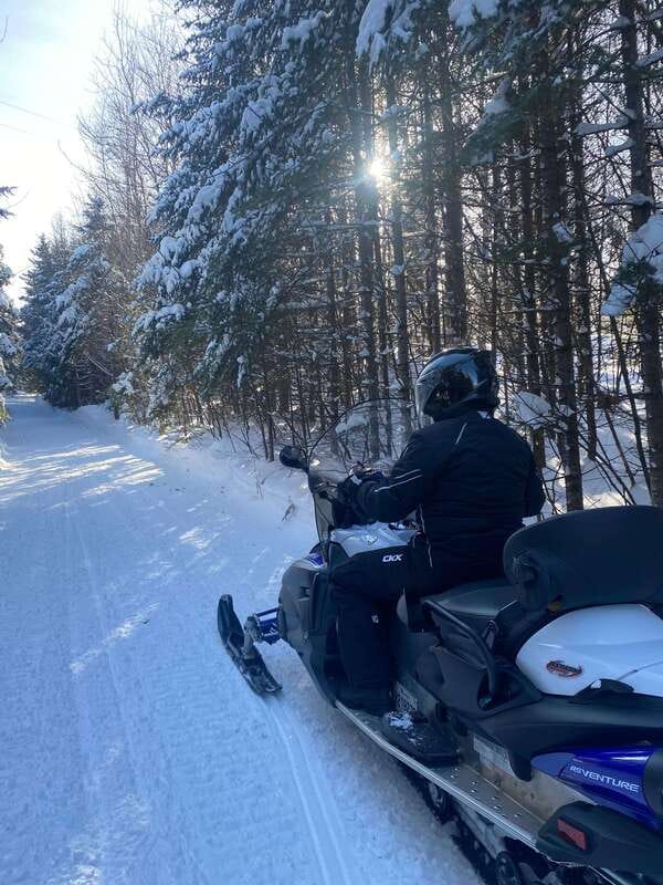 Montreal: Canadian Forest Guided Tour by Snowmobile - Experience with Guides and Group Size