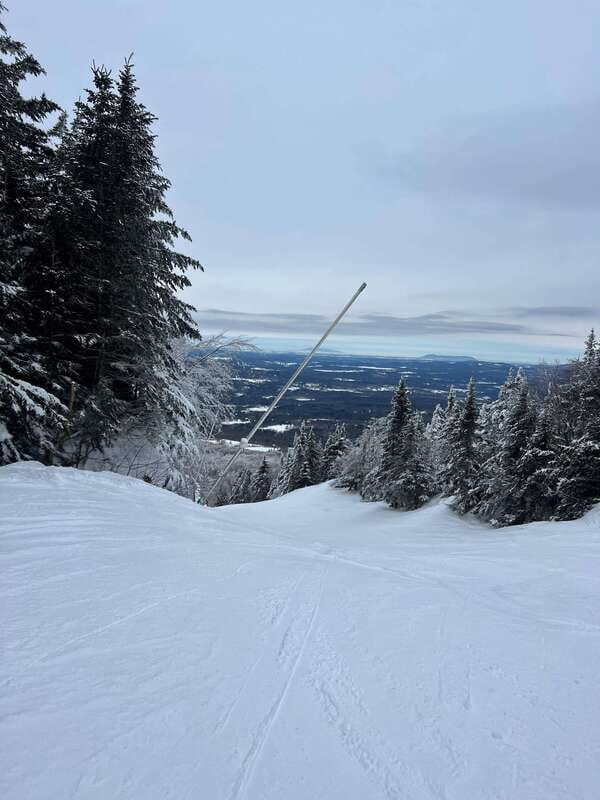 Montreal: Canadian Forest Guided Tour by Snowmobile - Comparing to Other Winter Experiences in Montreal