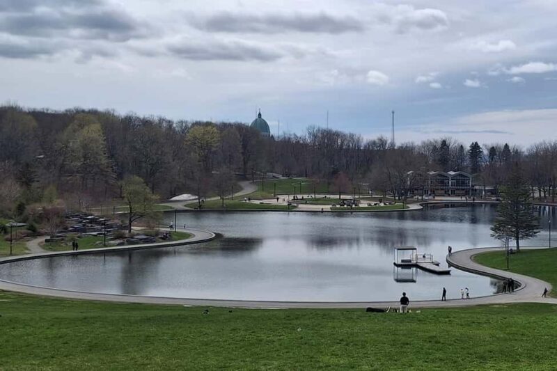 Montreal: E-Bike Sightseeing Tour - Pacing, Group Size, and Tour Flexibility