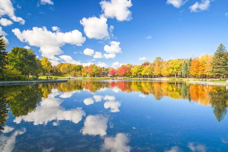 Montreal: Guided Bus Tour - Starting at 1001 Dorchester Square for Easy Access