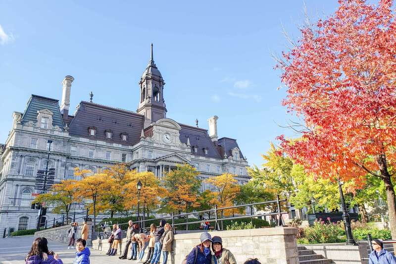 Montreal: Guided Bus Tour - Practical Aspects and Tour Flexibility