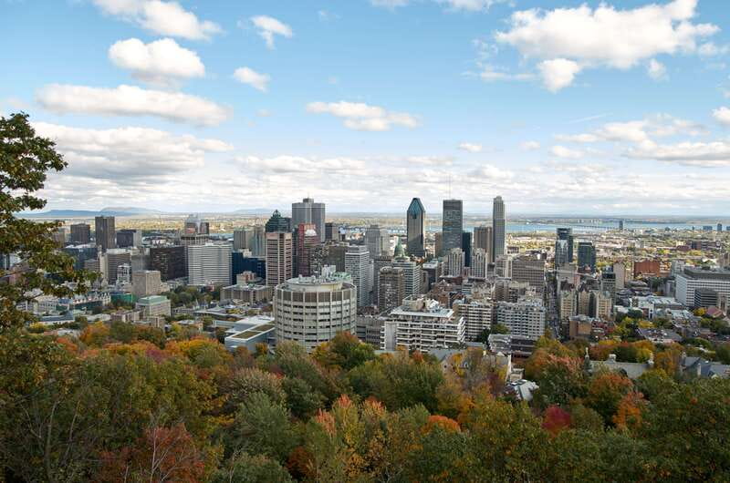 Montreal: Half-Day City Tour - The Afternoon Route: Exploring Downtown and Mont Royal