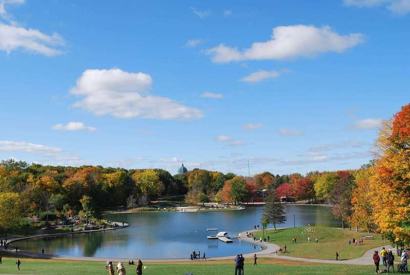 Montreal: Half-Day City Tour - Who Should Consider This Tour?