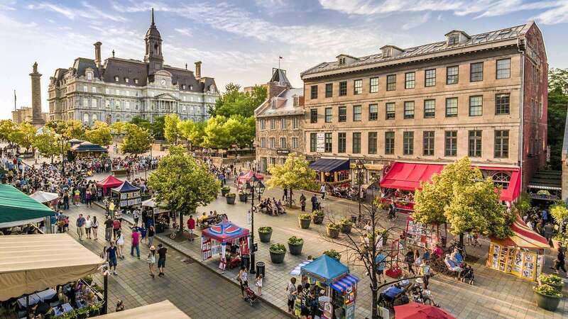 Montreal: Half-day Guided City Tour - Highlights from Reviews