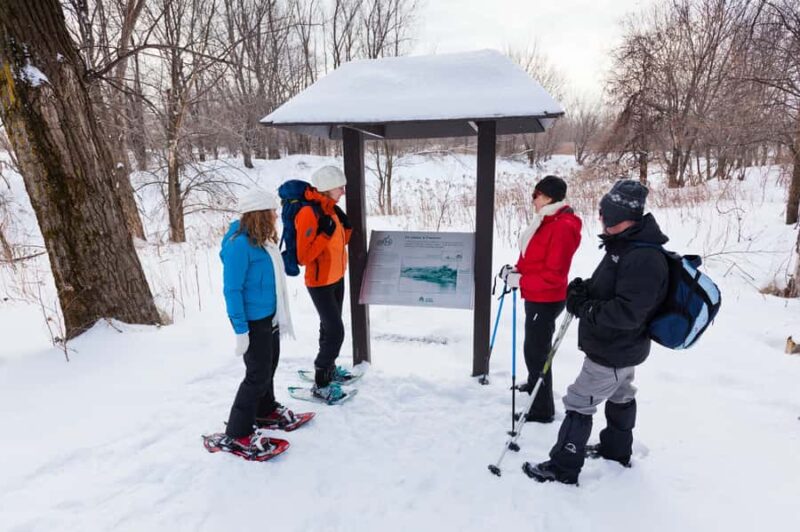 Montreal: Îles-de-Boucherville Entry Ticket and Snowshoeing - Exploring Îles-de-Boucherville National Park’s Natural Beauty