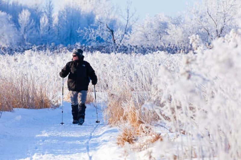 Montreal: Îles-de-Boucherville Entry Ticket and Snowshoeing - Wildlife Encounters on the Islands