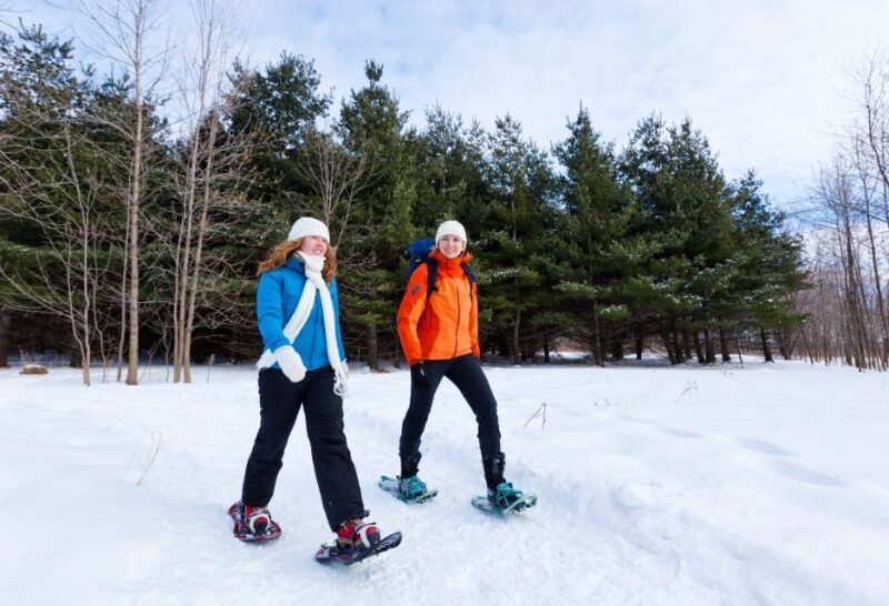 Montreal: Îles-de-Boucherville Entry Ticket and Snowshoeing - Who Should Consider This Tour?
