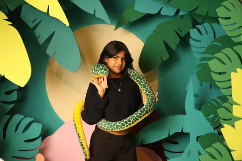 Montreal: Imaginarium Museum Entry Ticket - Exploring the Montreal Imaginarium Museum Location