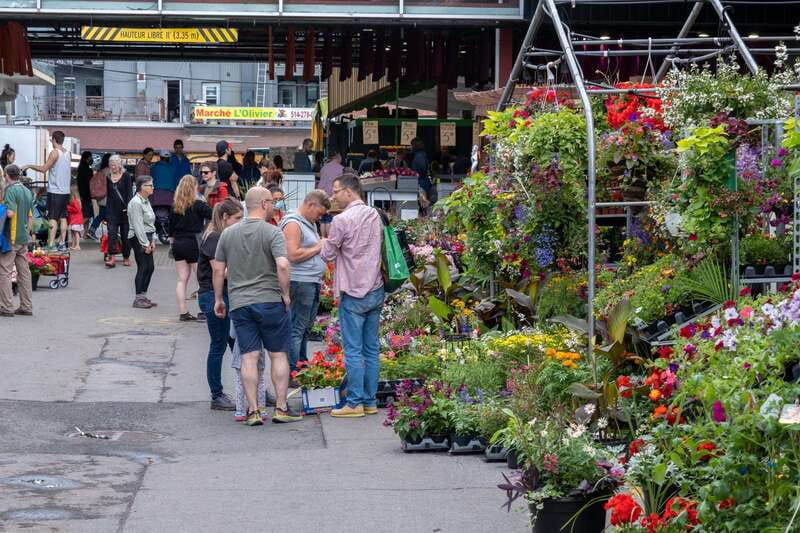 Montreal: Jean-Talon Market & Little Italy Highlights Tour - Starting Point at Jean-Talon Market