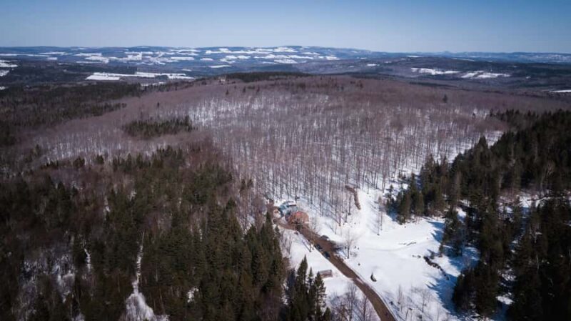 Montreal: Maple syrup talk and tasting! In French! - Making and Tasting Maple Taffy on Snow