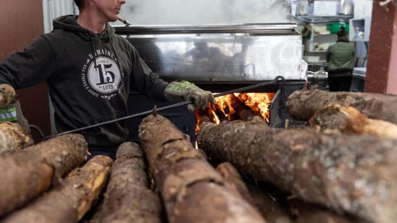 Montreal: Maple syrup talk and tasting! In French! - Sampling a Range of Maple Products