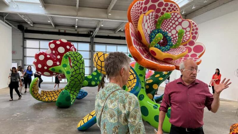 Montreal: Mile End Artist Neighborhood Tour - Visiting 46 Galleries and Artist Studios in Mile End