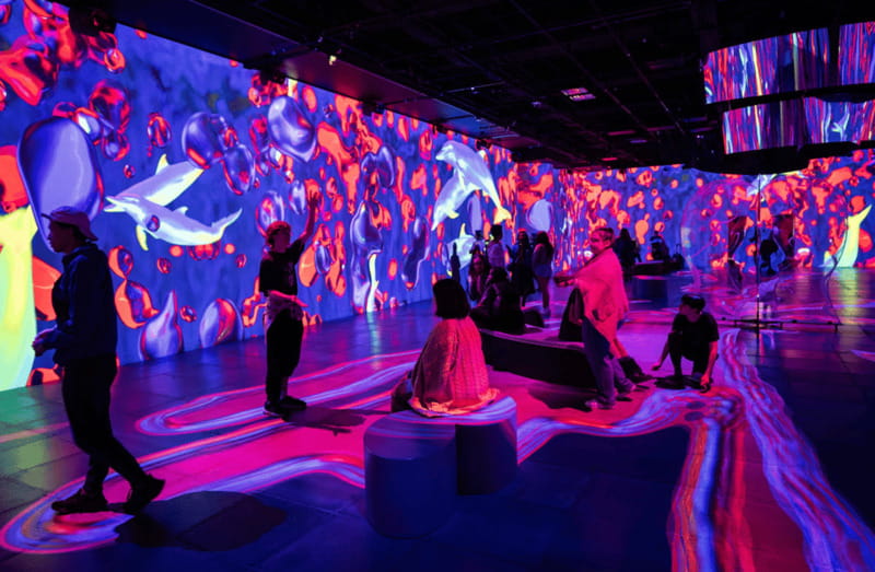 Montreal: OASIS Immersion Entry Ticket - What to Know Before Visiting