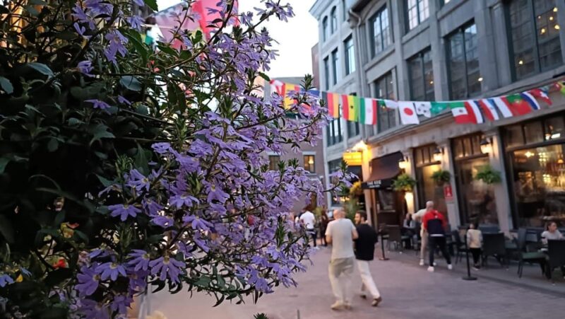 Montreal: Old Montreal at Twilight Walking Tour - Personalized Experience with a Small Group Size