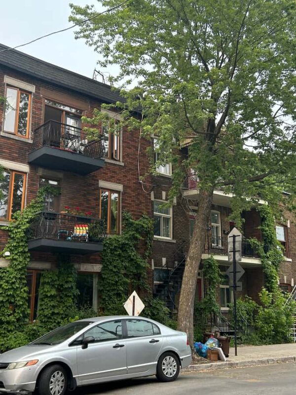 Montreal: Secondhand Shopping Tour with a Local - What to Expect at the Thrift Stores and Boutiques