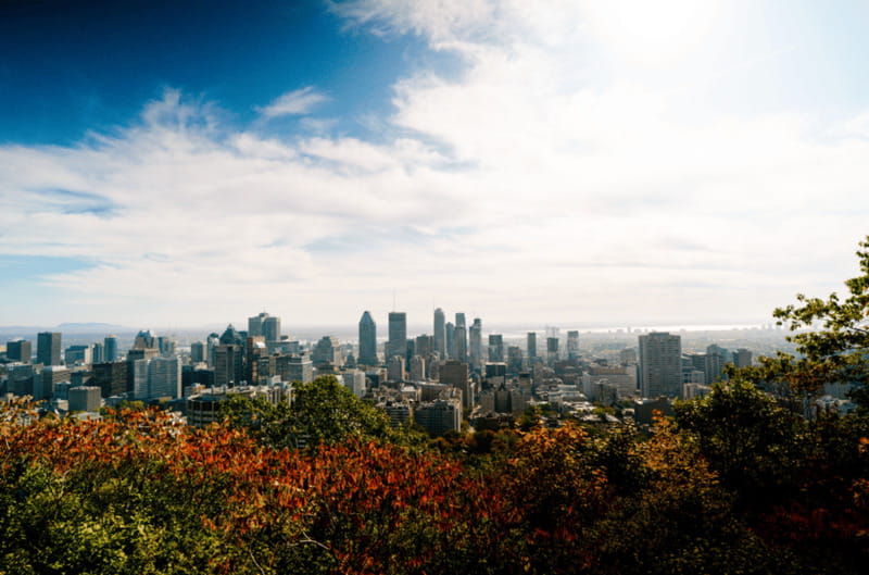 Montreal: Small Group Tour with River Cruise and Notre Dame - Scenic River Cruise Along the Saint Lawrence River