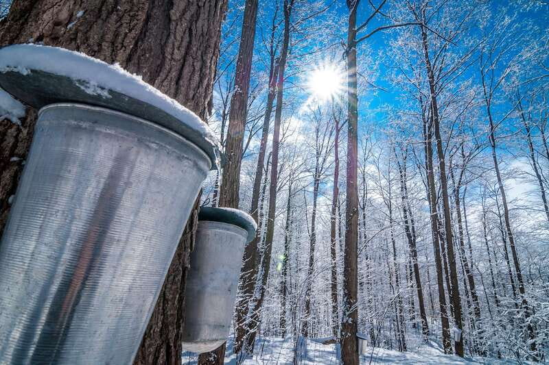 Montreal: Sugar Shack Maple Syrup Day Trip with Lunch - Pick-up and Travel Details from Montreal Hotels