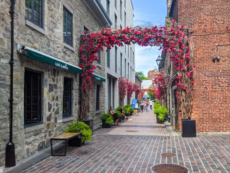 Montréal: The Original Old Montréal Walking Tour - The Guides Role in Making the Tour Special