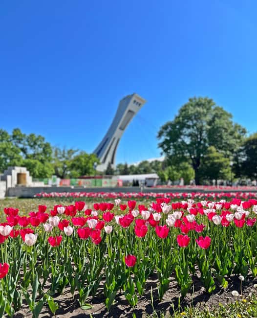 Montreal: Walking Tour 2h Downtown, RESO and Old Montreal - Exploring the Cultural Heart: Place des Arts and the Quartier des Spectacles