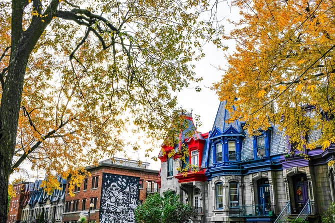 Montreal's Plateau Mont-Royal and Mile End Tour by MTL Detours - Discover Montreal’s Colorful Neighborhoods with MTL Detours