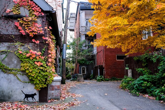 Montreal's Plateau Mont-Royal and Mile End Tour by MTL Detours - The Expertise of MTL Detours Guides