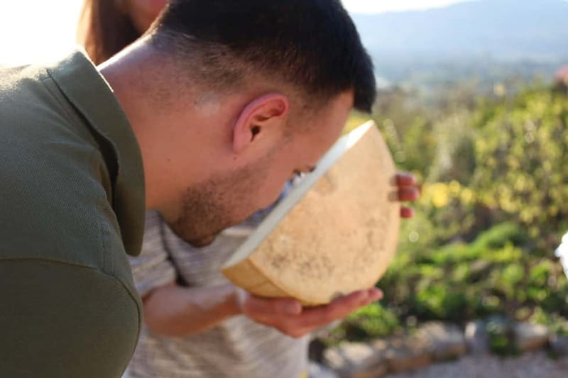 Montreux: Cheese like a local with lake & mountain views - Key Points