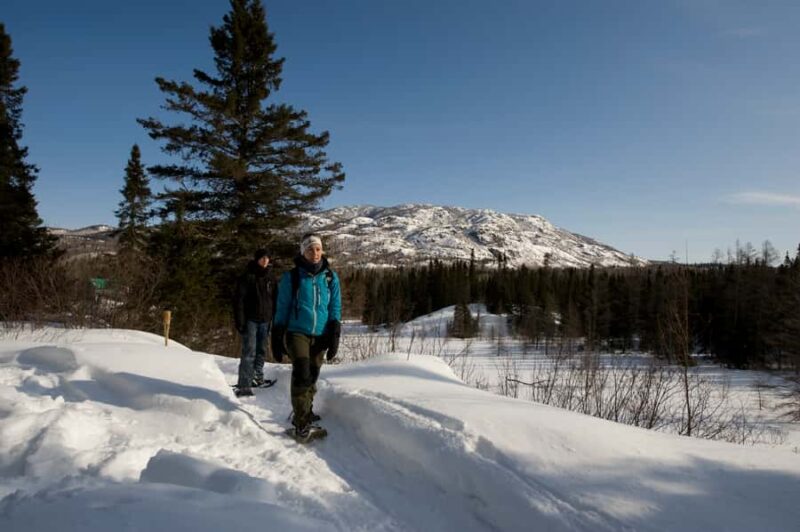 Monts-Valin National Park: Snowshoe Rental & Entry Ticket - Key Points
