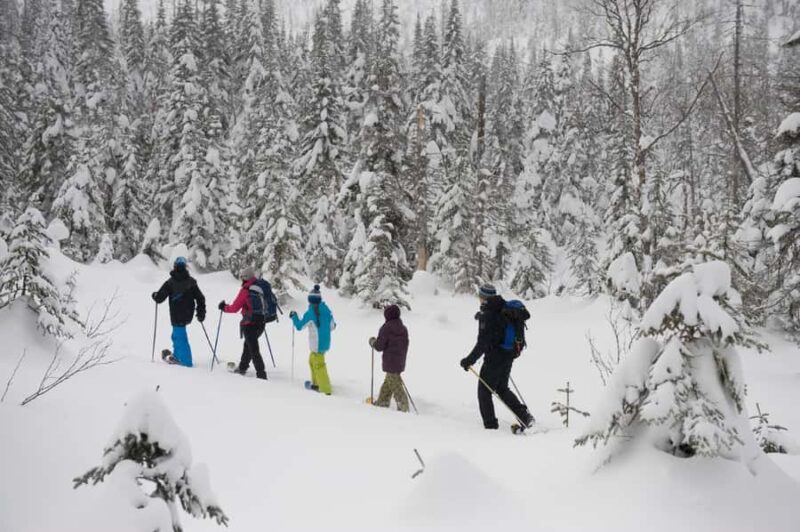 Monts-Valin National Park: Snowshoe Rental & Entry Ticket - Choosing the Right Trail: Easy and Intermediate Options