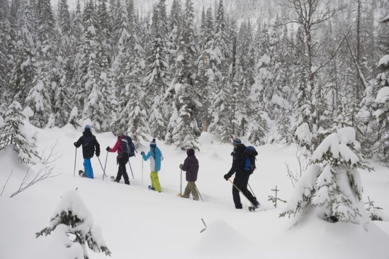Monts-Valin National Park: Snowshoe Rental & Entry Ticket - Accessibility and Family-Friendliness of the Snowshoe Tour
