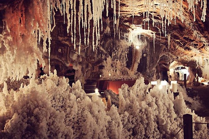 Montserrat Cardona and Salt Mountain Private Tour - Discovering the Medieval Charm of Cardona