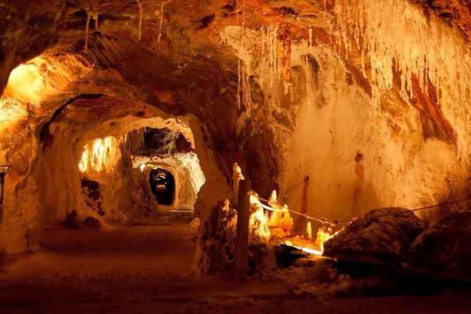 Montserrat, Cardona and Salt Mountain Small Group Tour - Practical Details and Tour Logistics