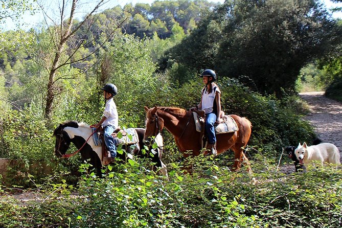 Montserrat Horseback Riding & Monastery Small Group Tour - The Sum Up: An Authentic Montserrat Adventure for Curious Travelers