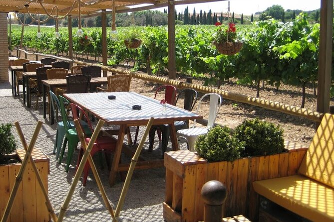 Montserrat & Winery Visit Tour with Traditional Farmhouse Lunch - From Barcelona to the Mountain of Montserrat