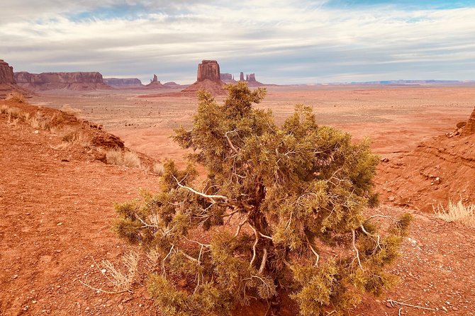 Monument Valley Backcountry Tour - Scenic Road in an Open-Air Vehicle