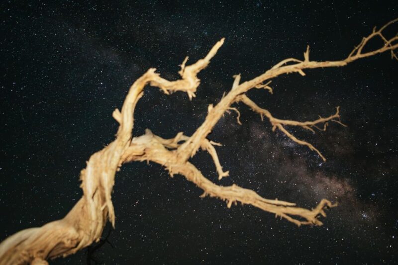 Monument Valley: Stargazing Tour - The Unique Appeal of the Guided Telescopes and Photography Tips