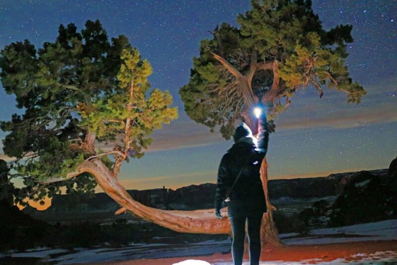 Monument Valley: Stargazing Tour - The Sum Up: A Night Sky Experience in Monument Valley