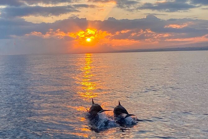 Moonlight & Music Sunset Cruise (BYOB) - Who Should Book the Moonlight & Music Sunset Cruise