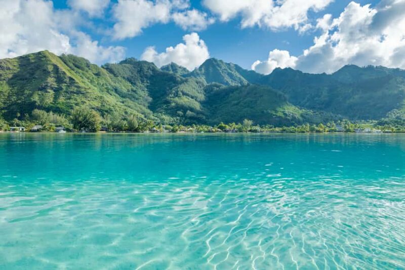 Moorea Highligts: Blue Lagoon Shore Attractions and Lookouts - Optional Snorkeling with Sharks and Rays by Boat