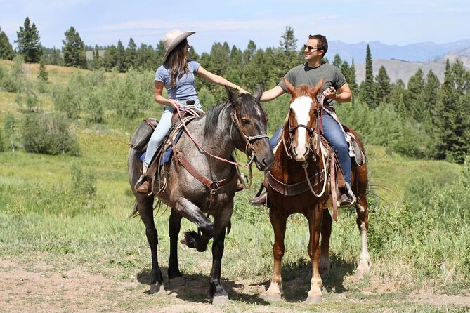 Moose Meadow Breakfast Ride - What Makes This Tour Stand Out from Others