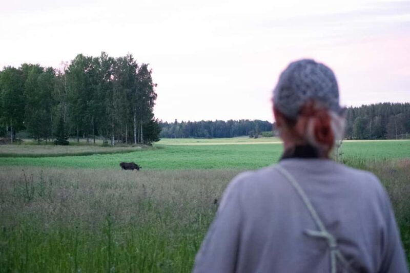 Moose safari with campfire dinner from Helsinki - Nature and Landscape of Porkkala Peninsula