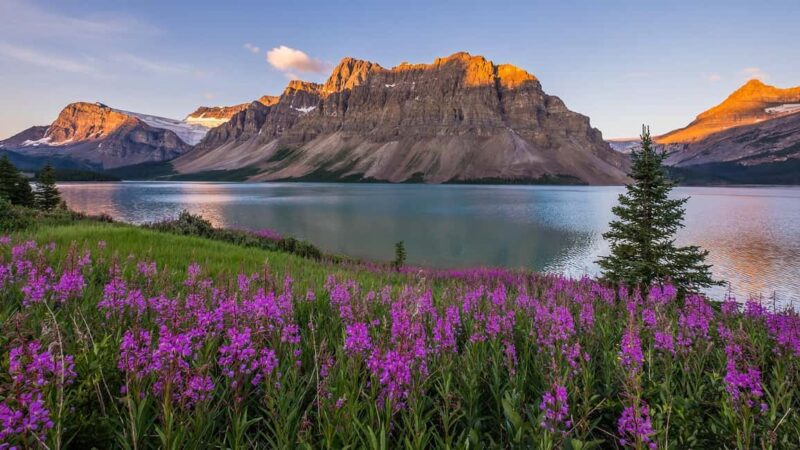 Moraine Lake and Iconic Sights of the Rockies Private Tour - Premium Transportation in a 2024 Ford Transit