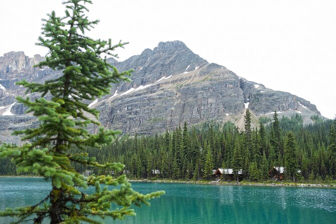 Moraine Lake and Lake Louise Sightseeing Half Day Tour - Convenience and Avoiding Parking Hassles at Iconic Lakes