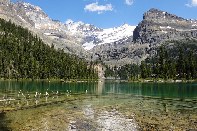 Moraine Lake and Lake Louise Sightseeing Half Day Tour - The Experience Provider and Booking Details