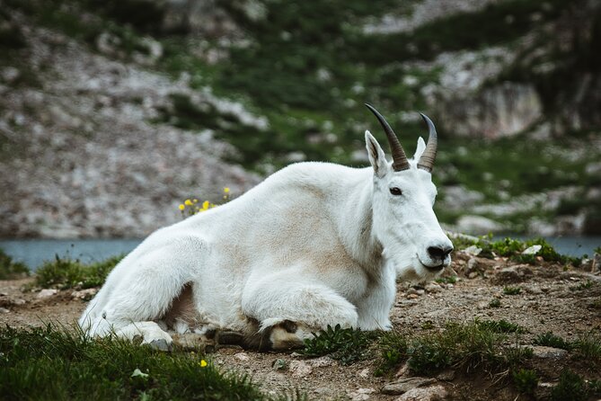 Moraine Lake - Banff Private Tour for groups - Photo Opportunities at Iconic Landmarks
