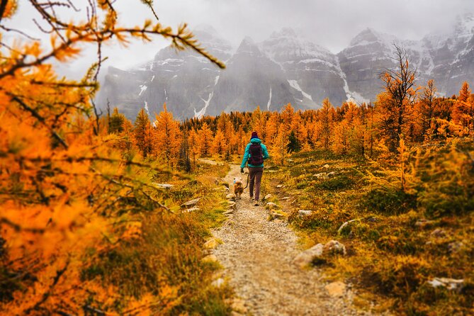 Moraine Lake: Larch Valley Hike, Departure from Banff - Explore the Breathtaking Beauty of Banff on a Guided Larch Valley Hike