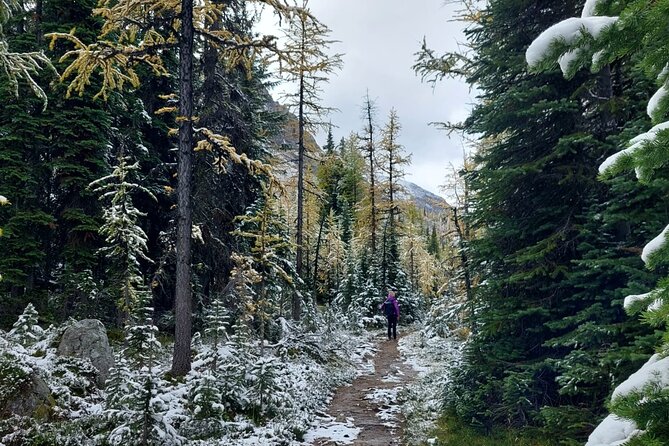 Moraine Lake: Larch Valley Hike, Departure from Banff - Climbing to Temple Mountain for Panoramic Views