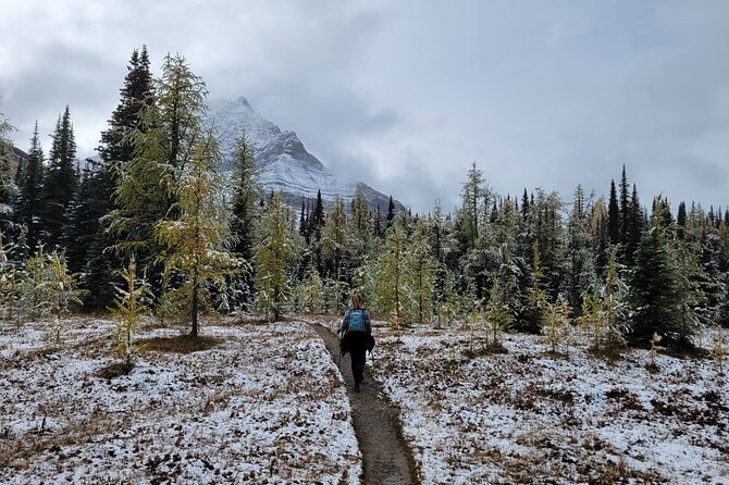 Moraine Lake: Larch Valley Hike, Departure from Banff - Spending Time at Moraine Lake in Autumn