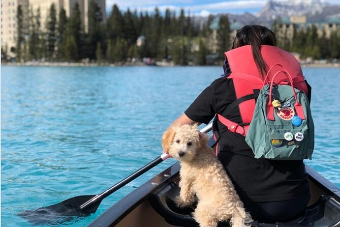 Moraine Lake Sightseeing from Samson Mall Shared Tour | On Sale! - Key Points