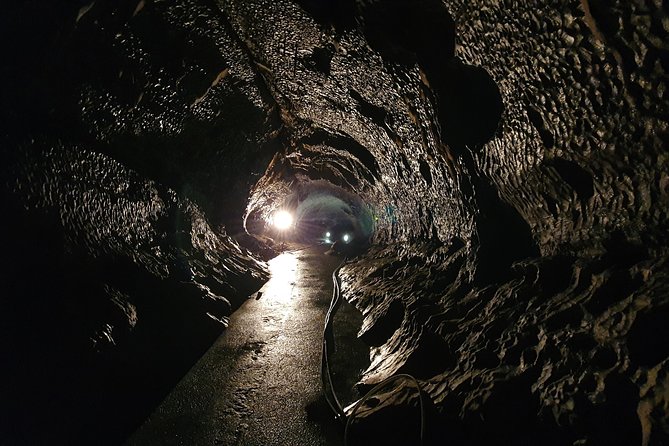 Moravian Carst And Brno Private Tour From Prague - Customization and Flexibility of the Private Tour